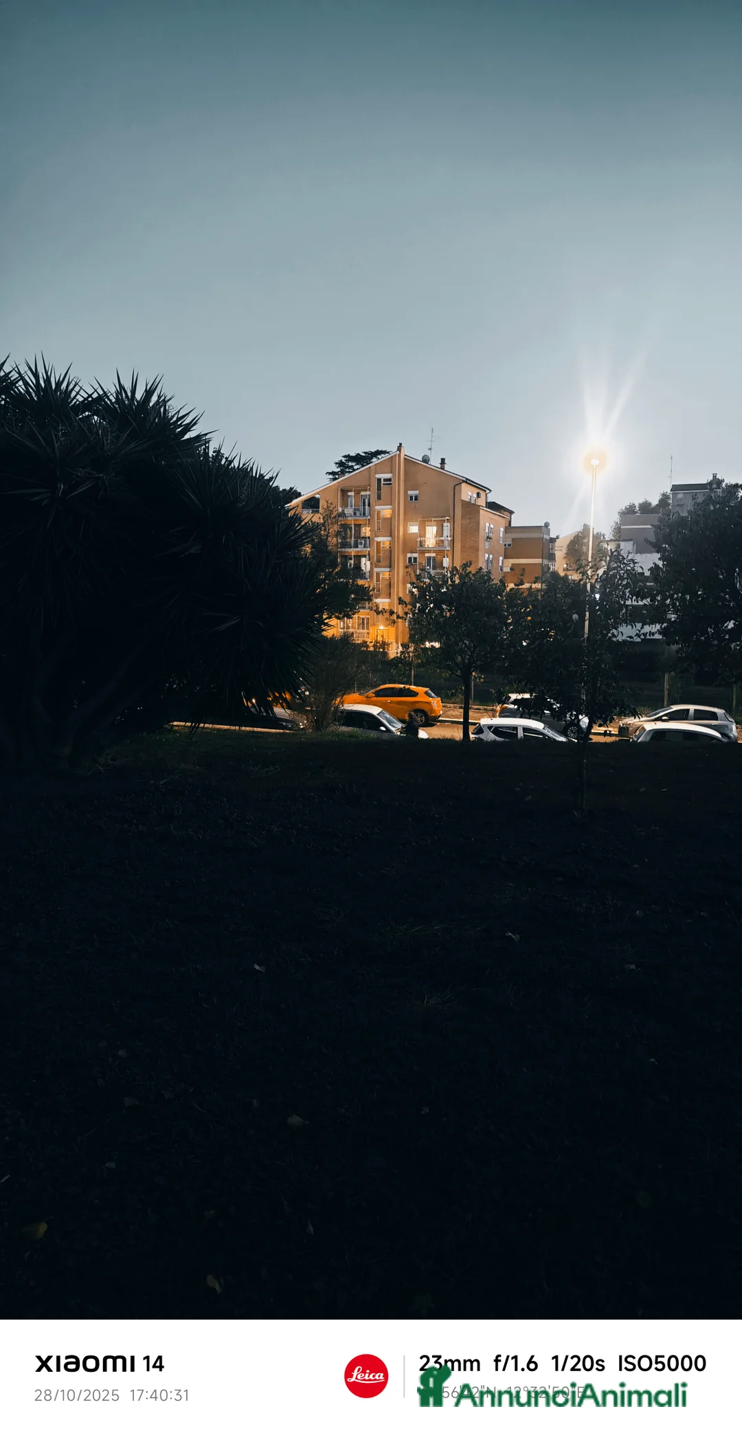 Immagine della galleria {{count}}