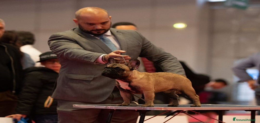 Immagine della galleria {{count}}