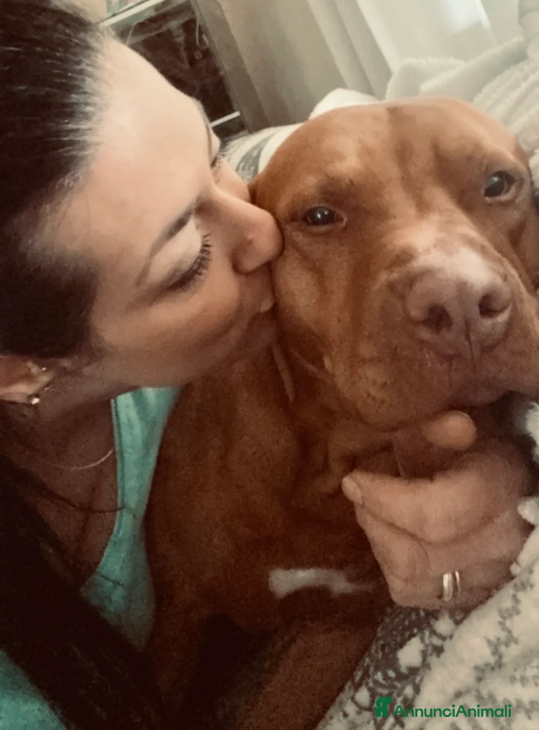 Immagine della galleria {{count}}