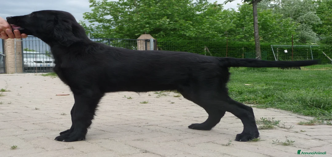 Immagine della galleria {{count}}