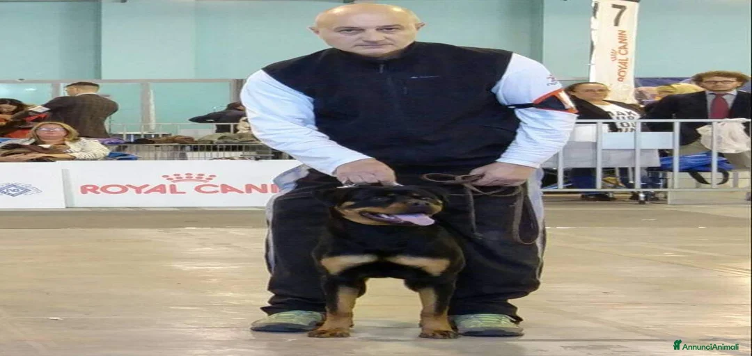 Immagine della galleria {{count}}