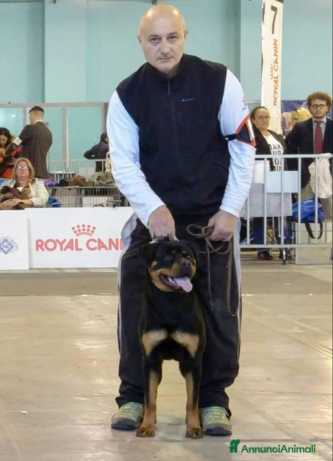 Immagine della galleria {{count}}