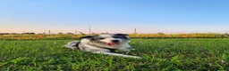 Border Collie cani per accoppiamento: Bellissimo Border con Pedigree per Accoppiamento a Provincia di Cremona - Annuncio 10