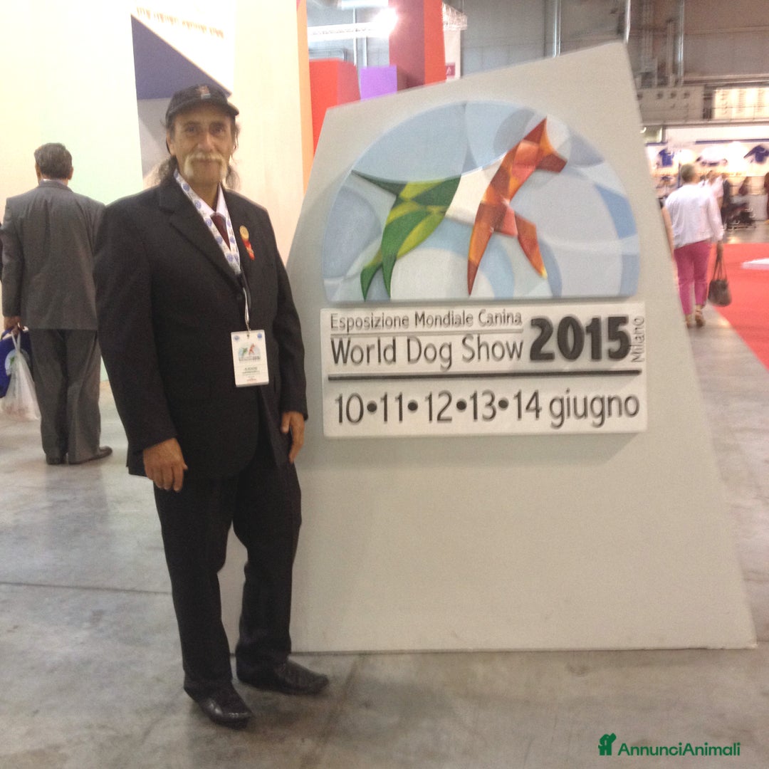 Immagine della galleria {{count}}