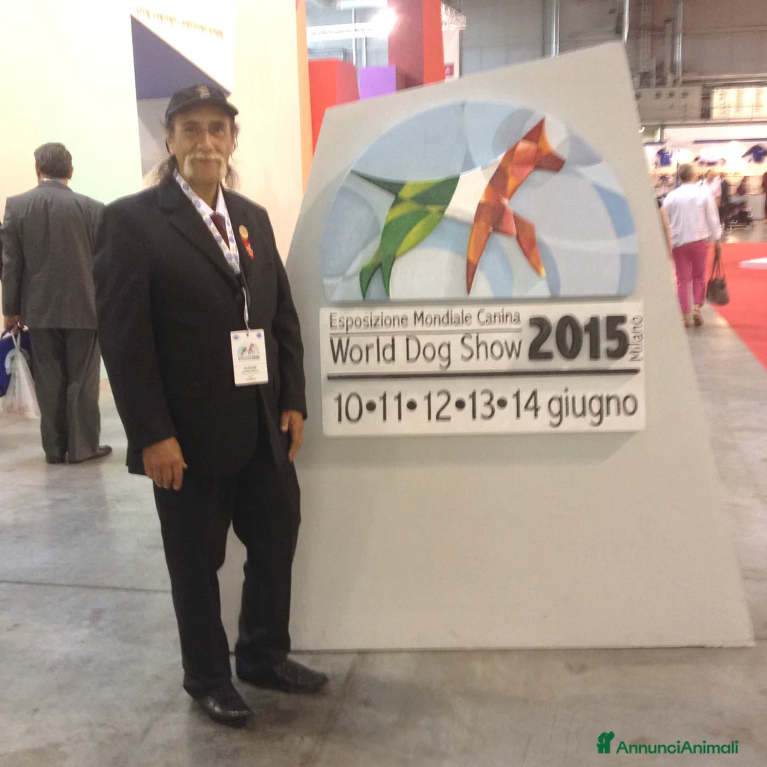 Immagine della galleria {{count}}