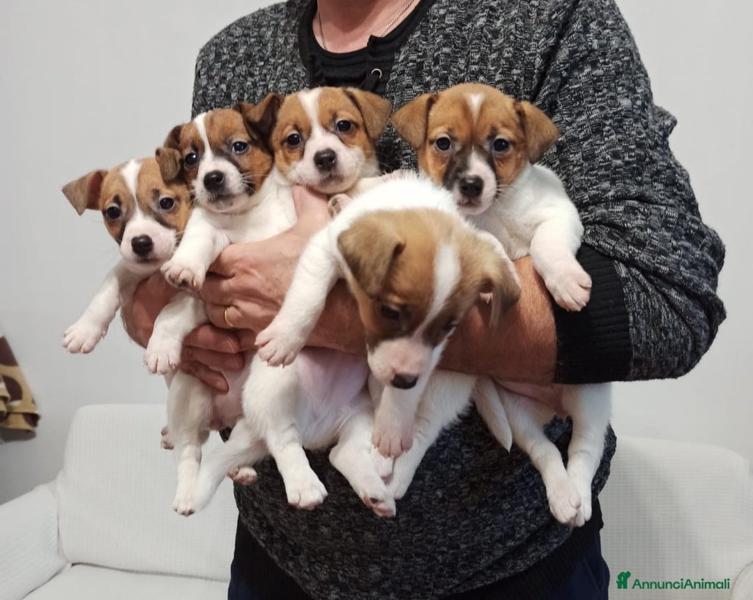 Immagine della galleria {{count}}