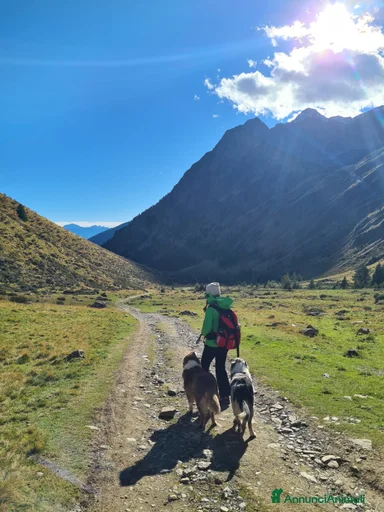 Immagine della galleria {{count}}