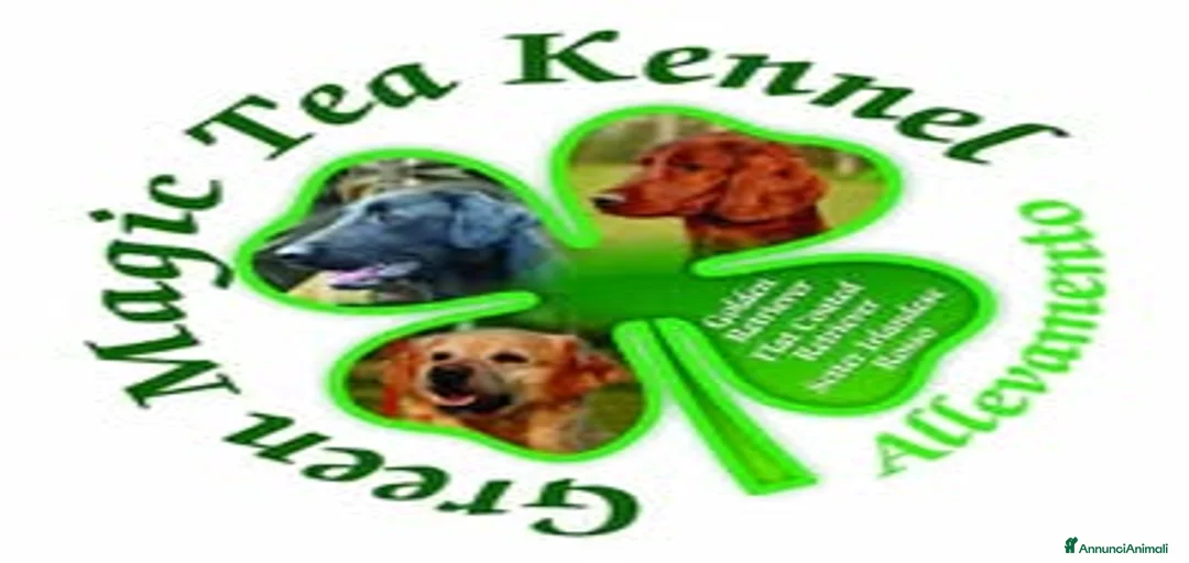 Immagine della galleria {{count}}