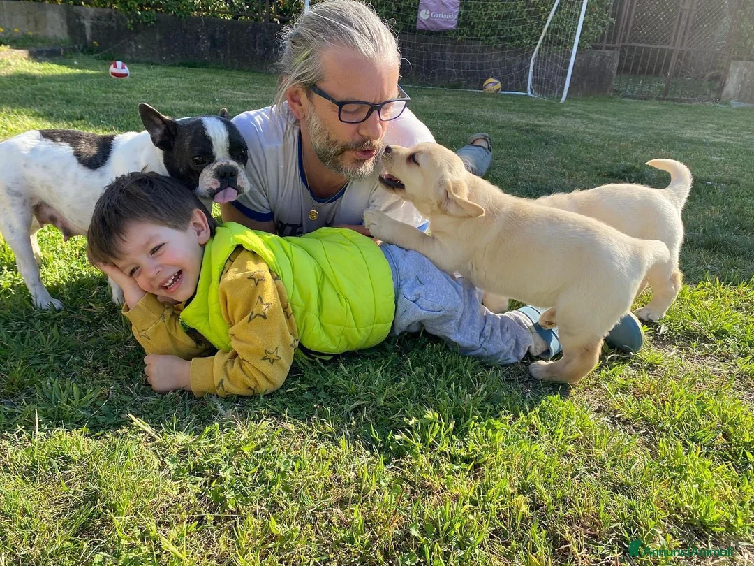 Immagine della galleria {{count}}