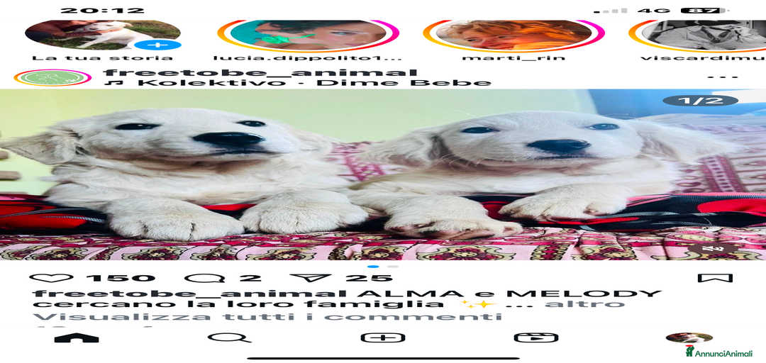 Immagine della galleria {{count}}