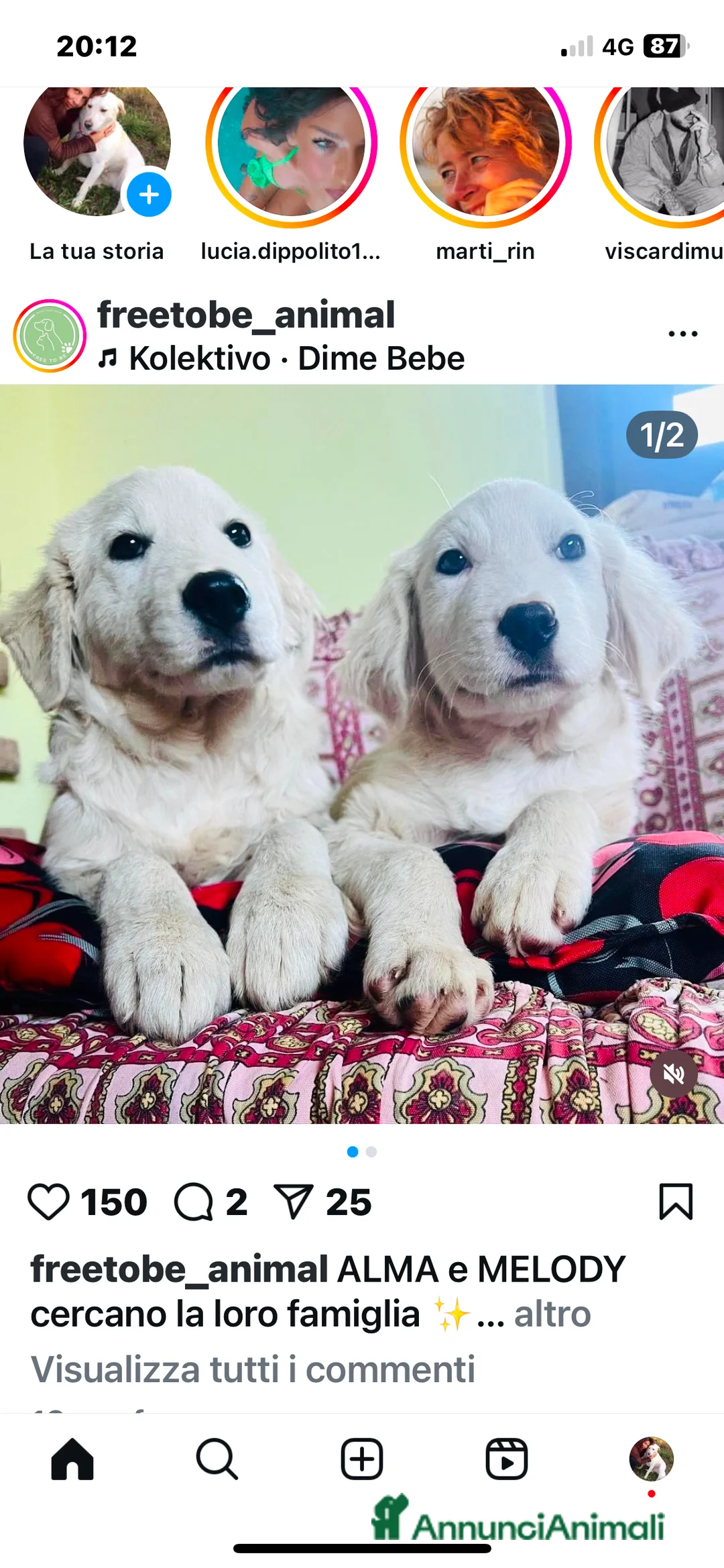 Immagine della galleria {{count}}