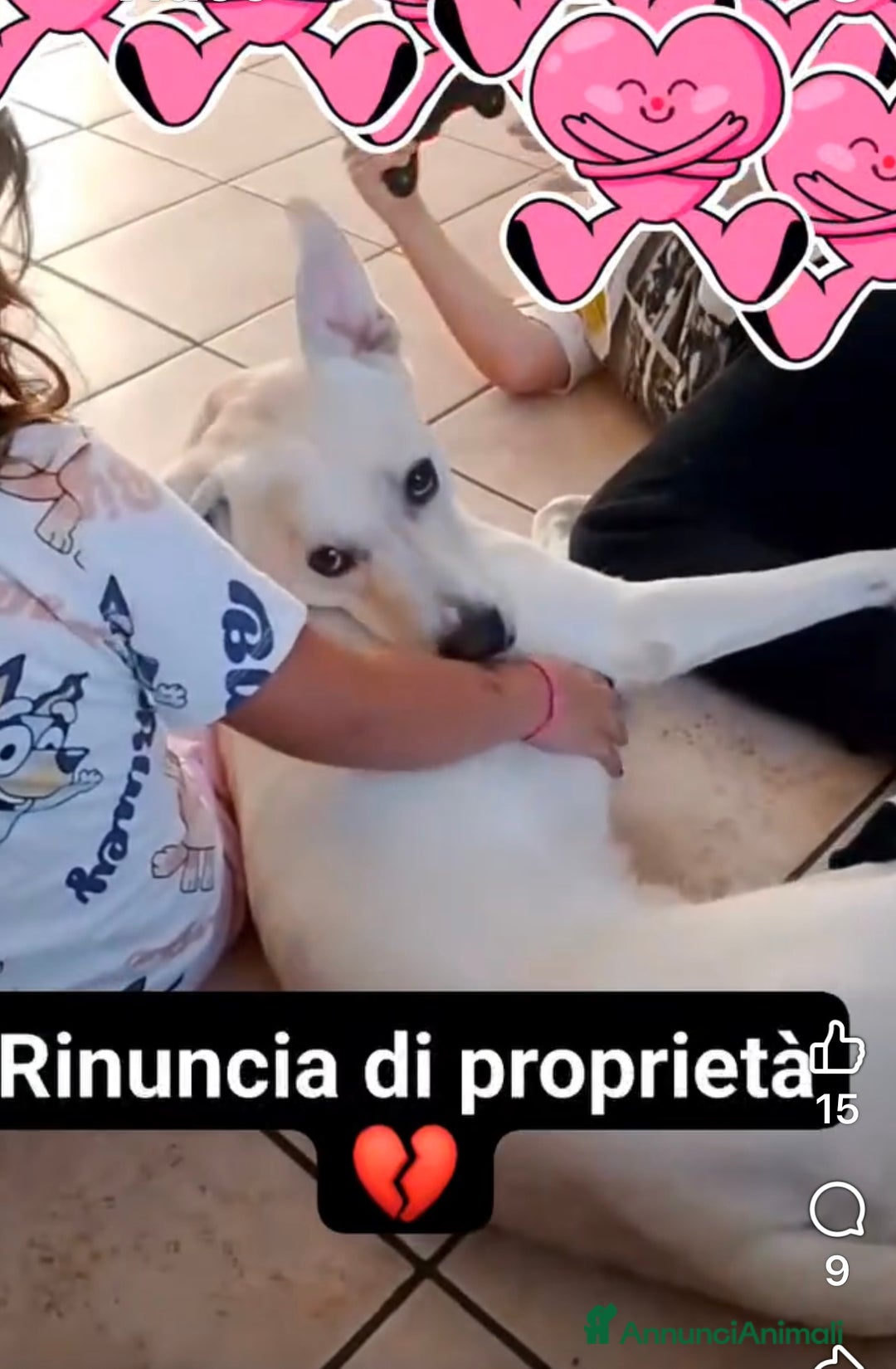 Meticcio cani in regalo: Fiocco il cucciolone che adora i bimbi - Annuncio 1