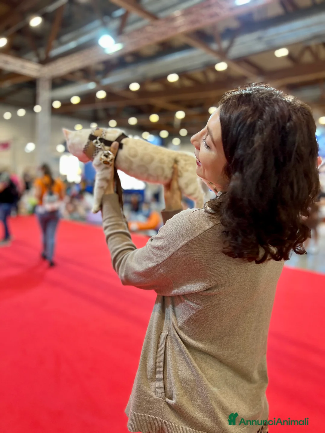 Immagine della galleria {{count}}