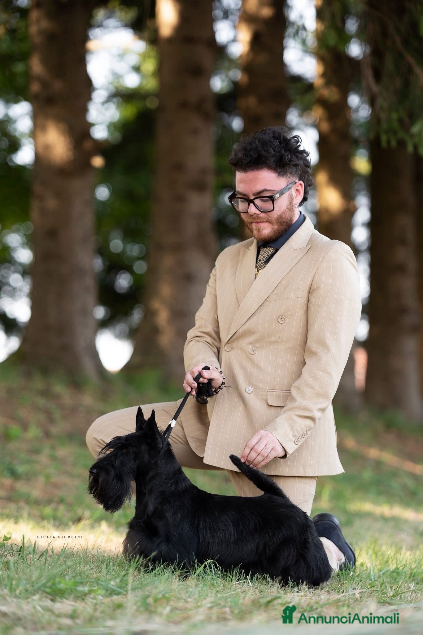 Scottish Terrier cani Scottish terrier - Annuncio 1