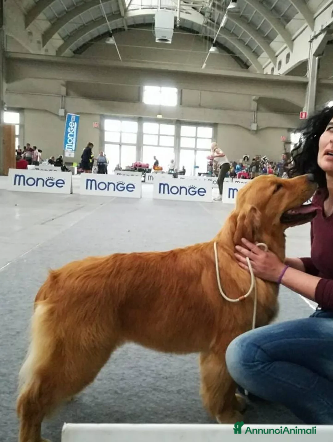 Immagine della galleria {{count}}