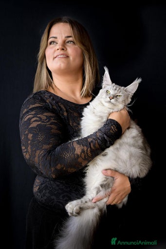 Immagine della galleria {{count}}