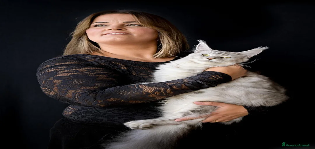 Immagine della galleria {{count}}