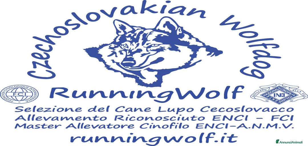 Immagine della galleria {{count}}