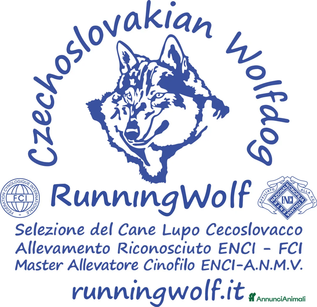 Immagine della galleria {{count}}