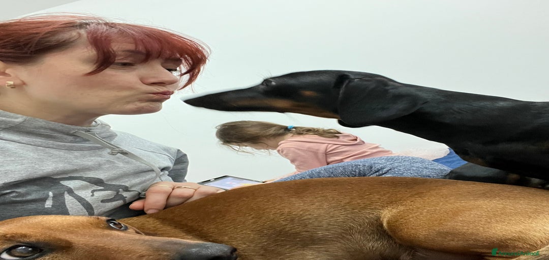 Immagine della galleria {{count}}