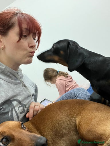 Immagine della galleria {{count}}