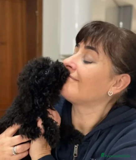 Immagine della galleria {{count}}