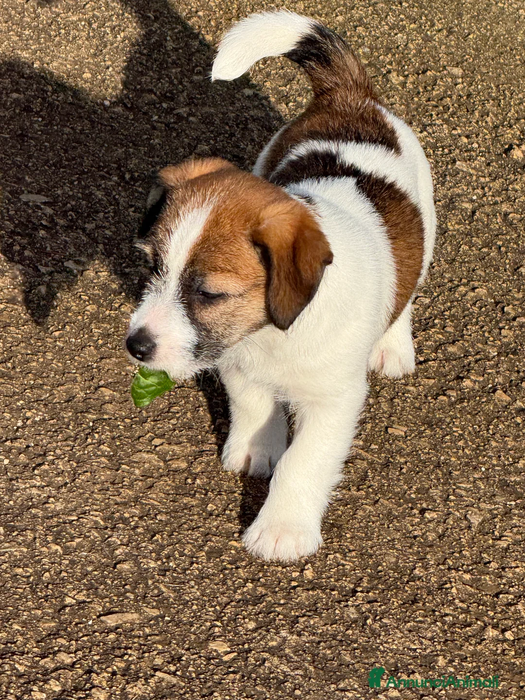 Immagine della galleria {{count}}