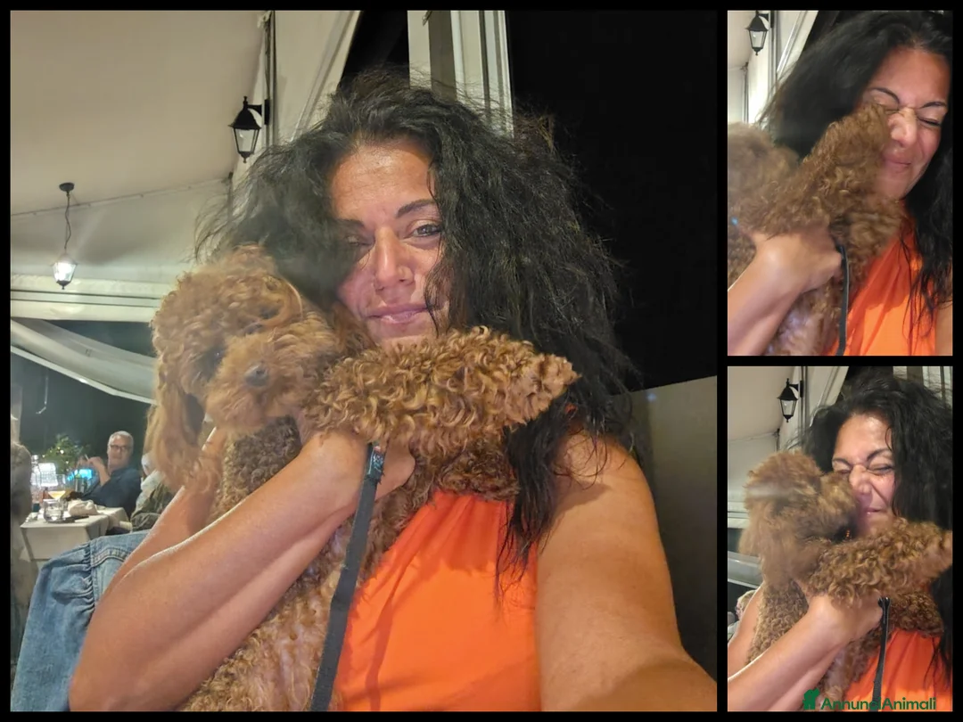 Immagine della galleria {{count}}