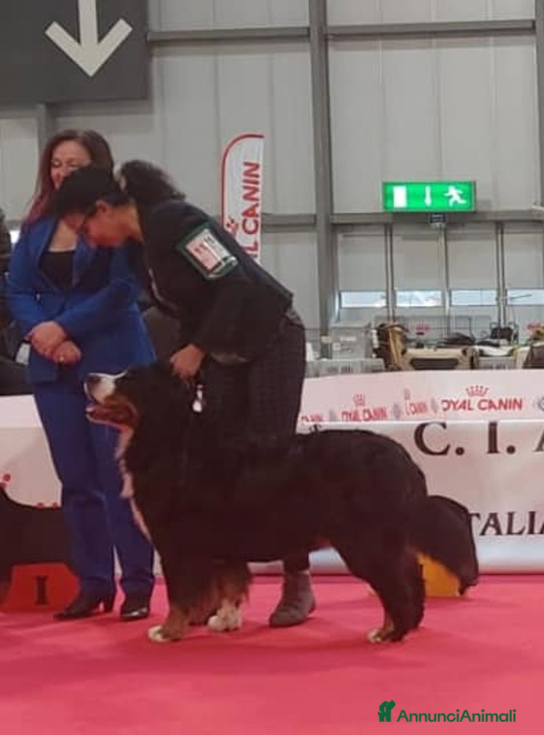 Immagine della galleria {{count}}