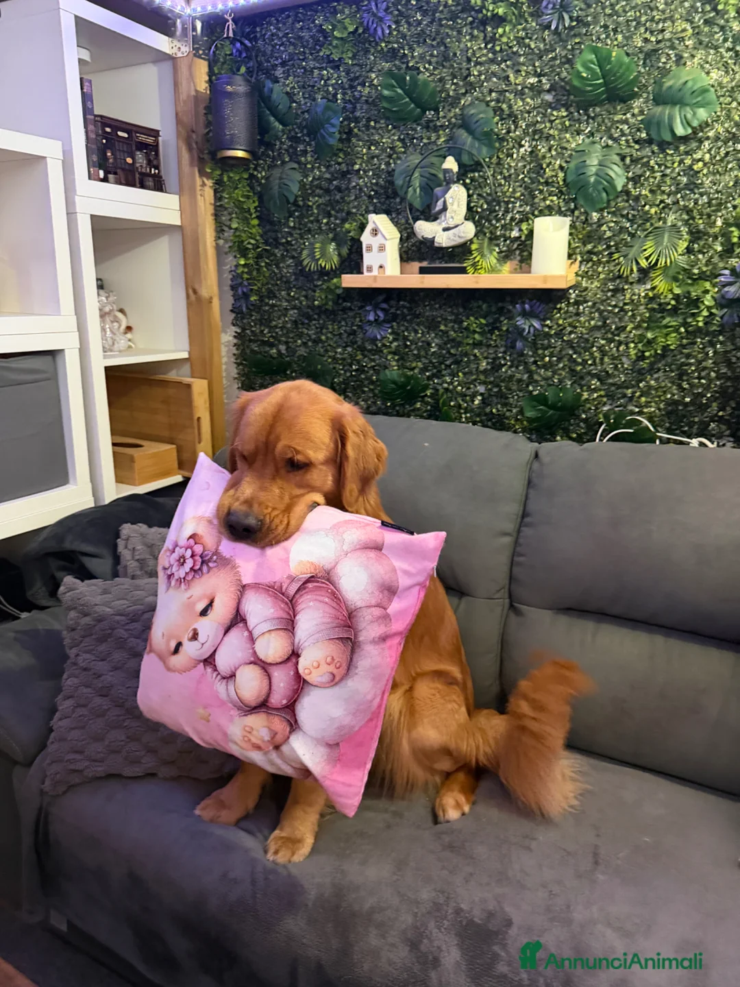 Immagine della galleria {{count}}