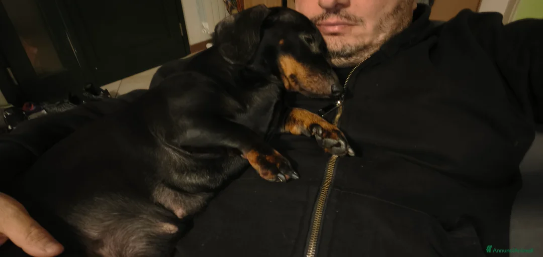 Immagine della galleria {{count}}