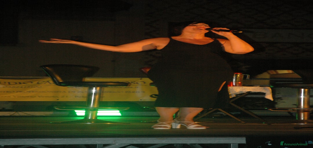 Immagine della galleria {{count}}