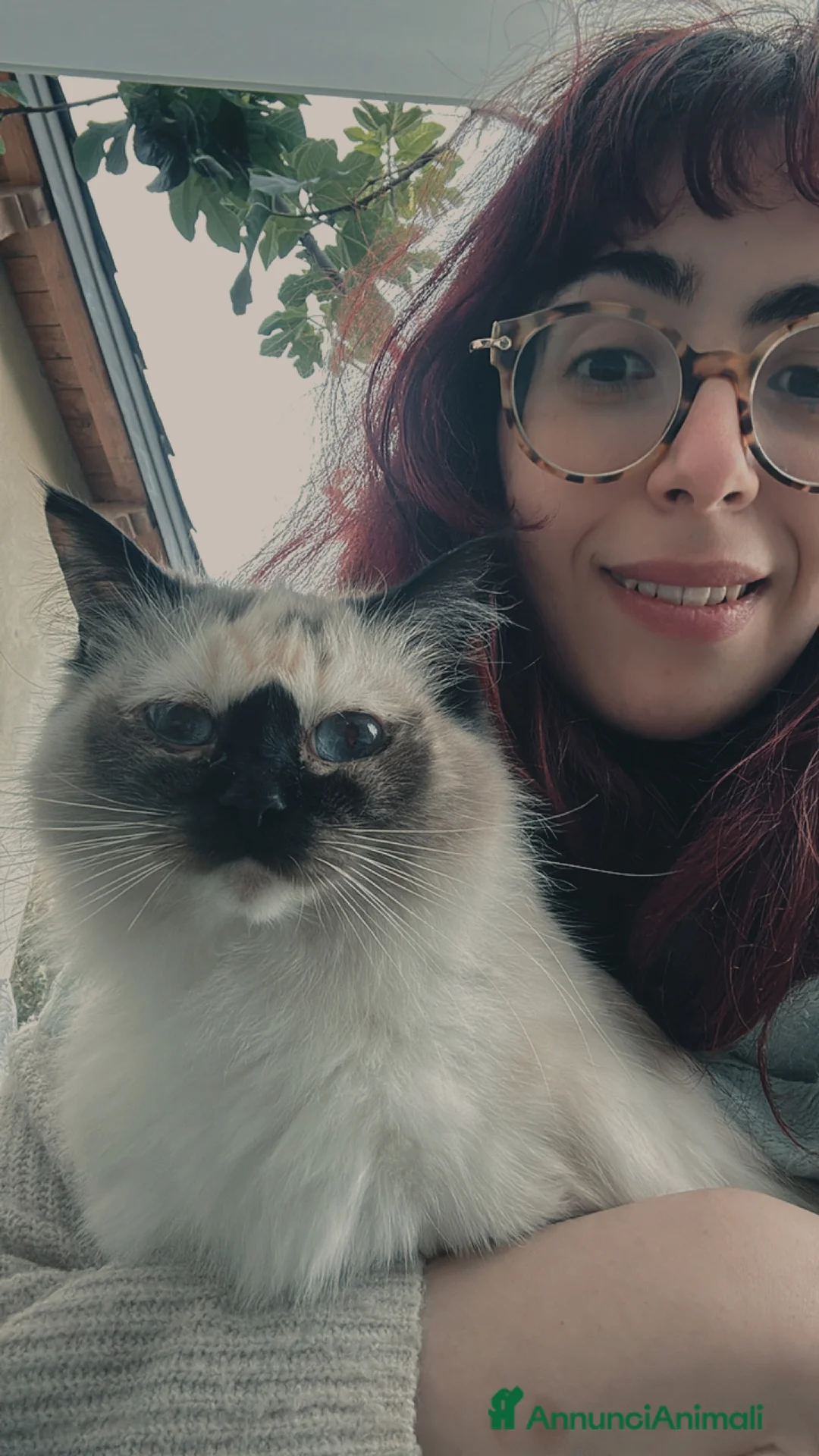 Immagine della galleria {{count}}