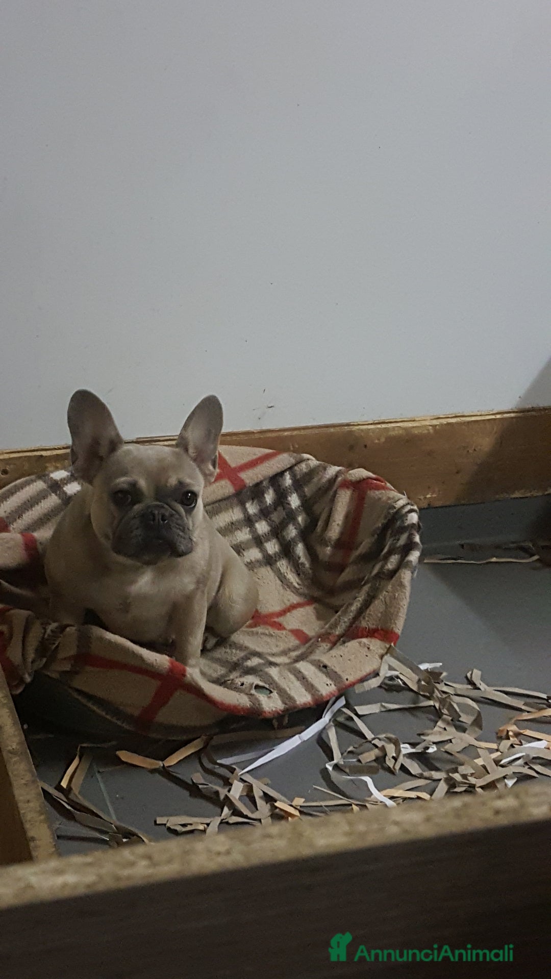 Immagine della galleria {{count}}