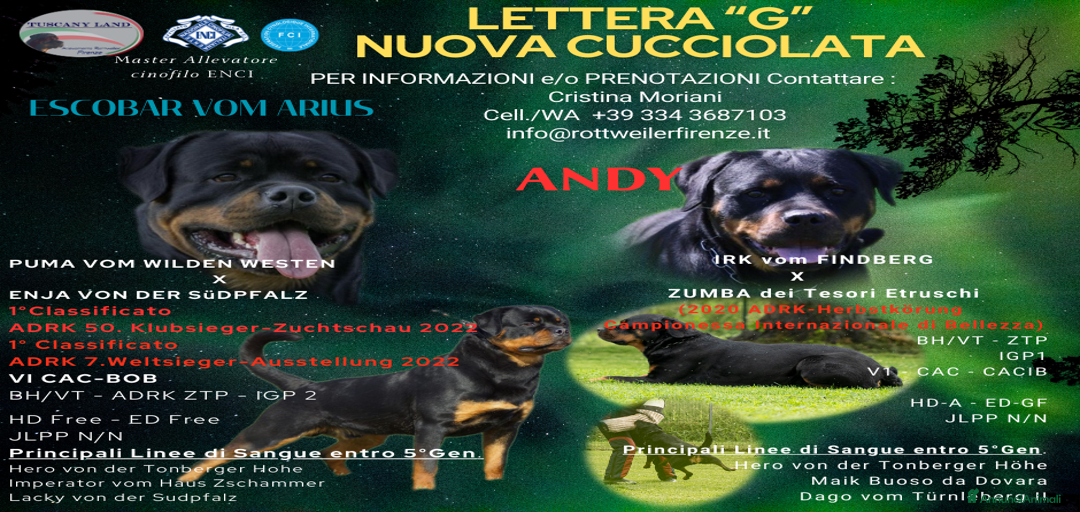 Immagine della galleria {{count}}