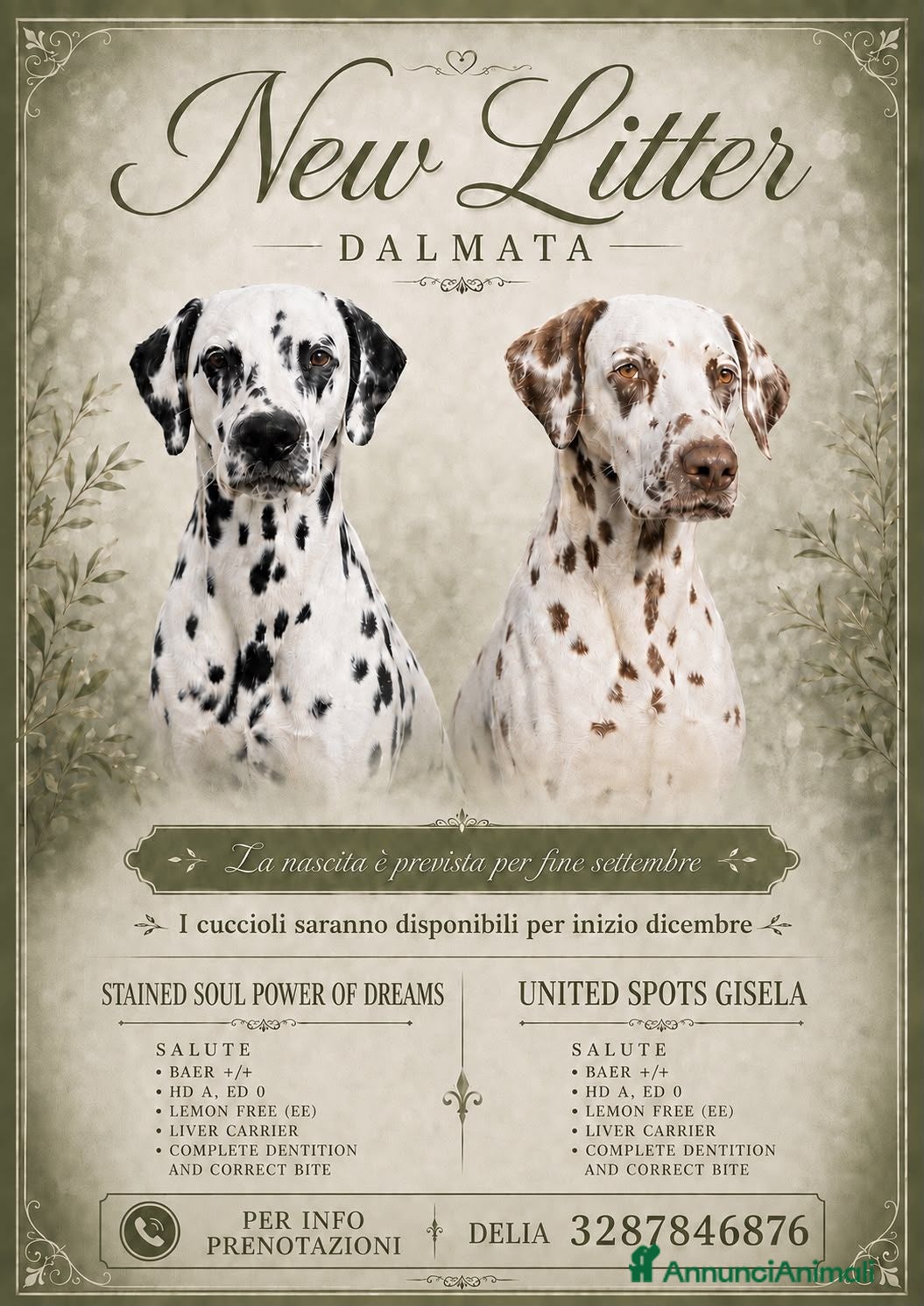Dalmata cani Prenotazione Cuccioli Dalmata – Pedigree ENCI - Annuncio 1
