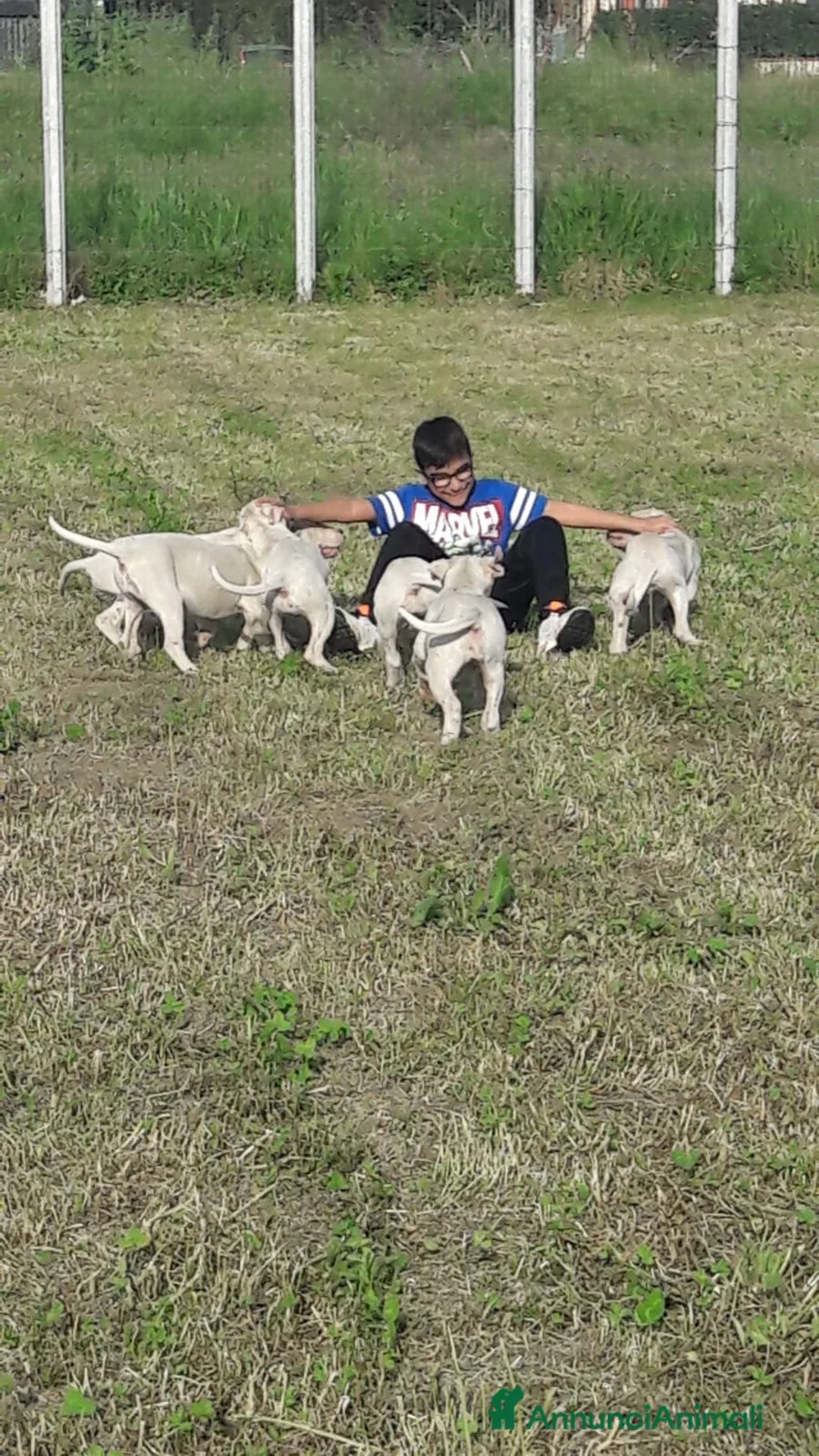 Immagine della galleria {{count}}