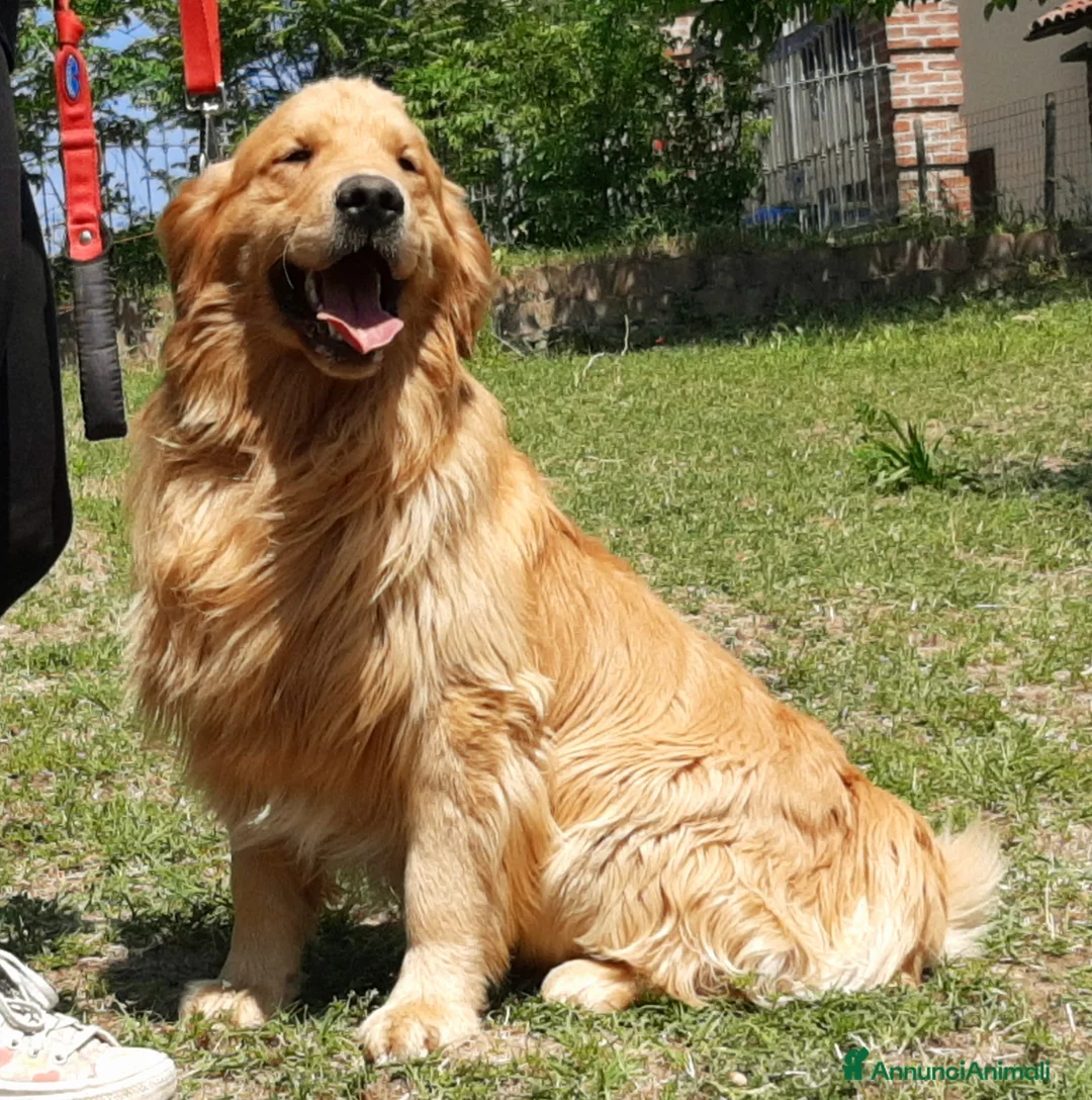 Immagine della galleria {{count}}