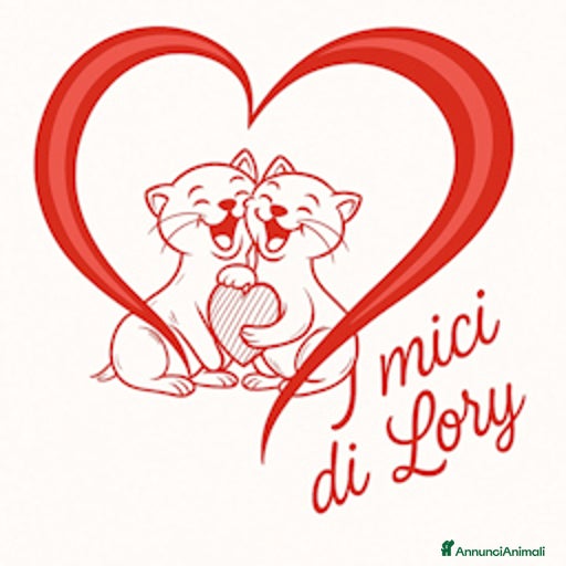 Immagine della galleria {{count}}