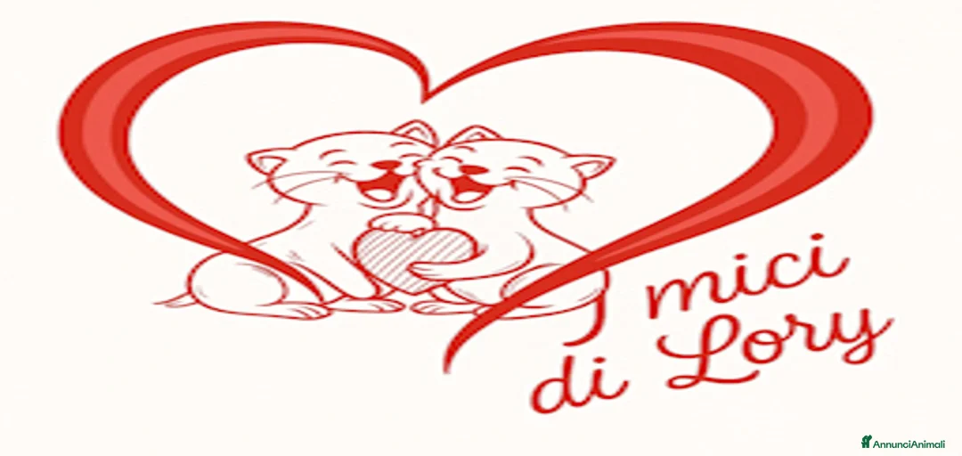 Immagine della galleria {{count}}