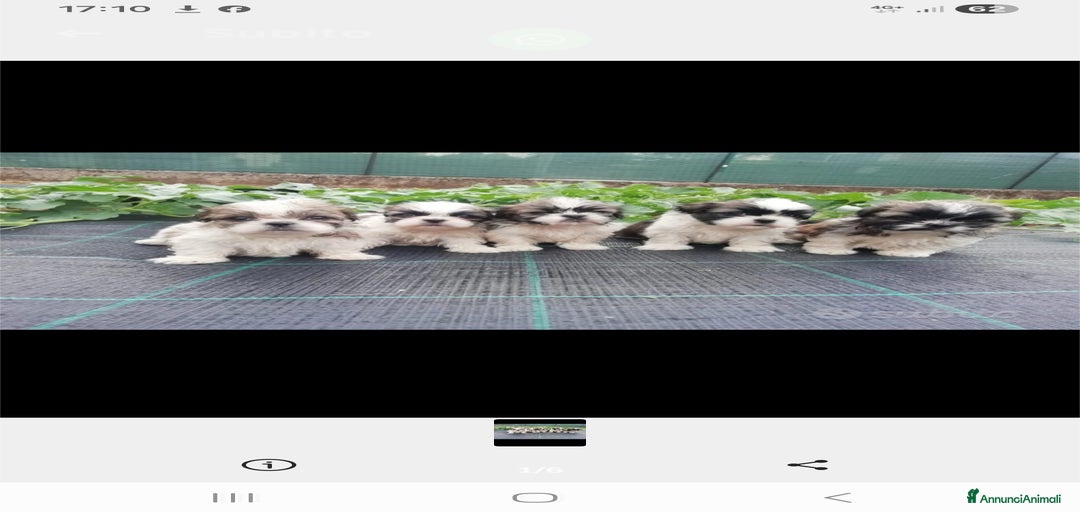 Immagine della galleria {{count}}