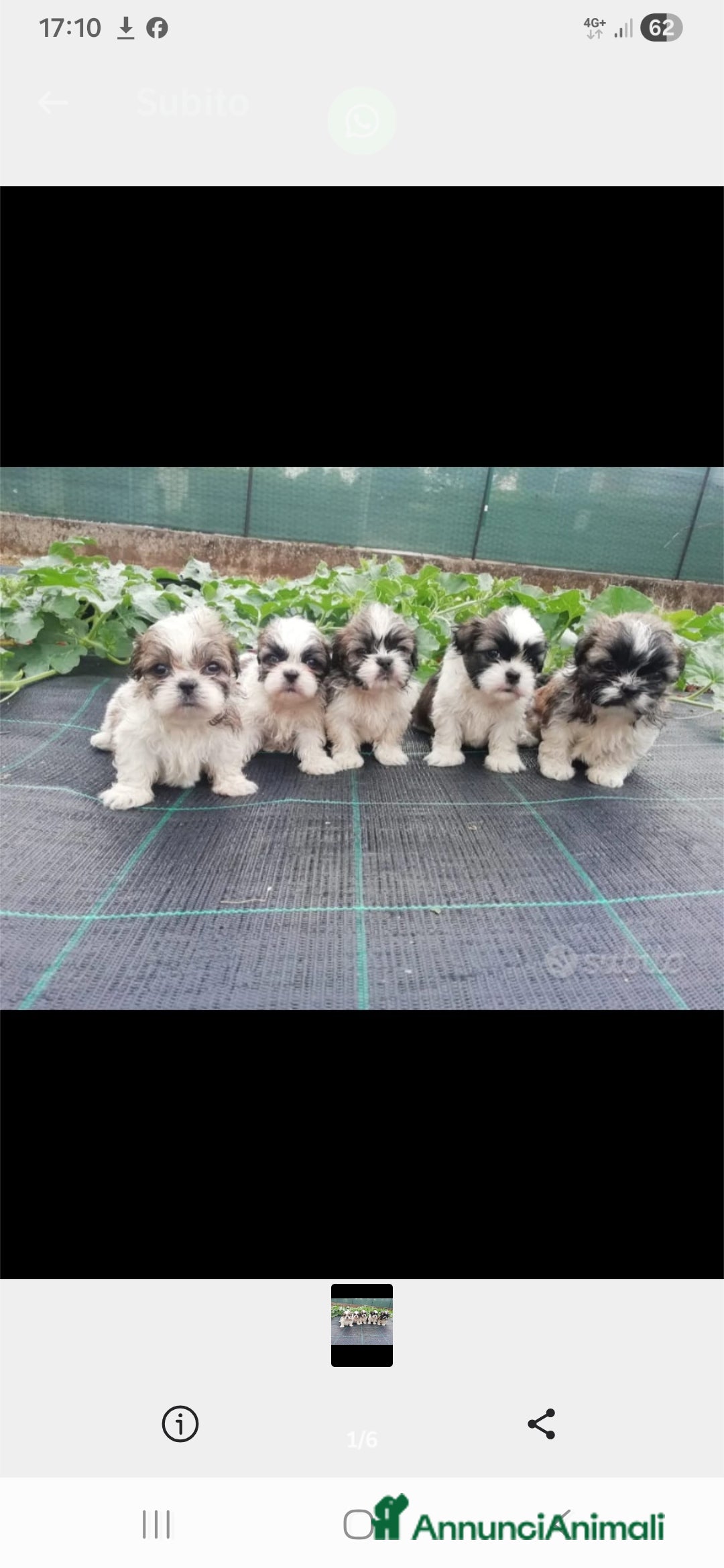 Immagine della galleria {{count}}