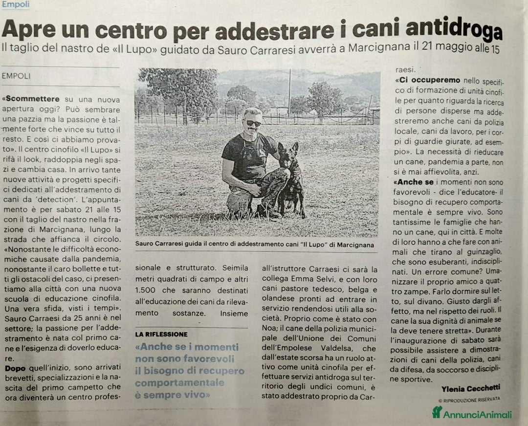 Immagine della galleria {{count}}