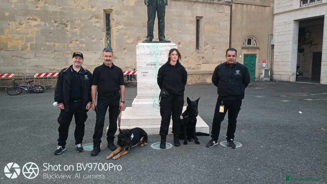 Immagine della galleria {{count}}