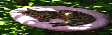 Bengala 2