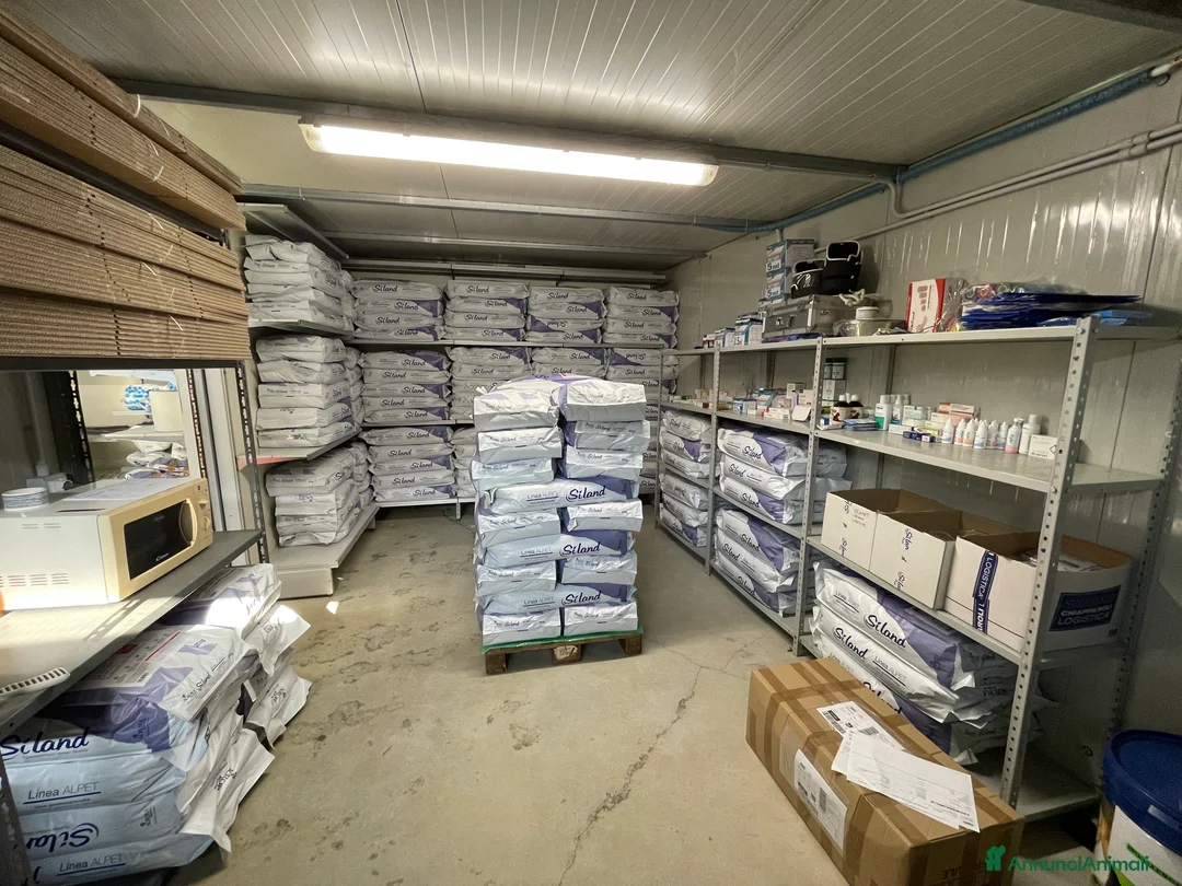 Immagine della galleria {{count}}