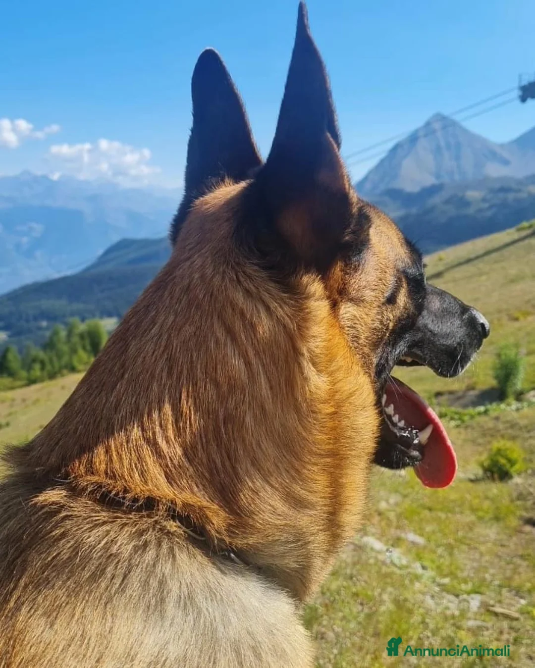 Immagine della galleria {{count}}