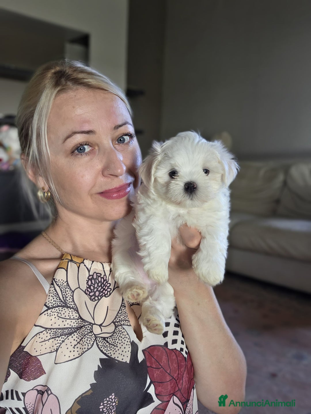 Maltese cani in vendita: Cuccioli di razza Maltese  a Provincia di Padova - Annuncio 6