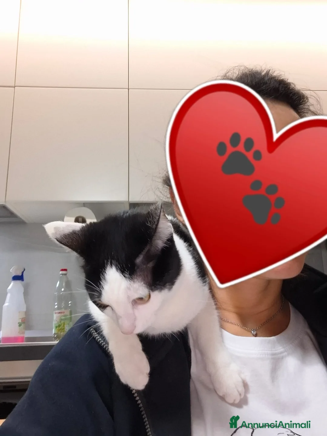 Meticcio gatti in regalo: GATTA a Provincia di Crotone - Annuncio 2