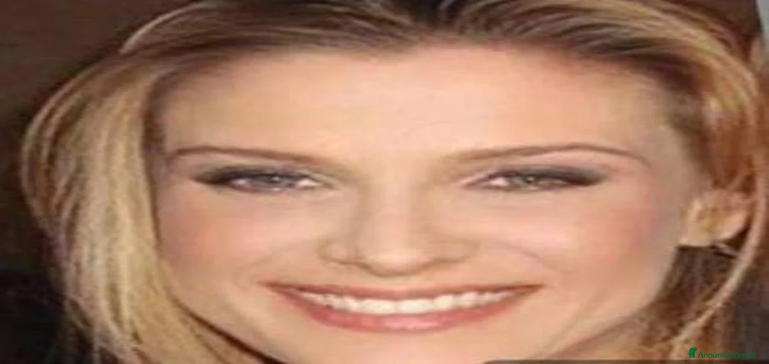 Immagine della galleria {{count}}